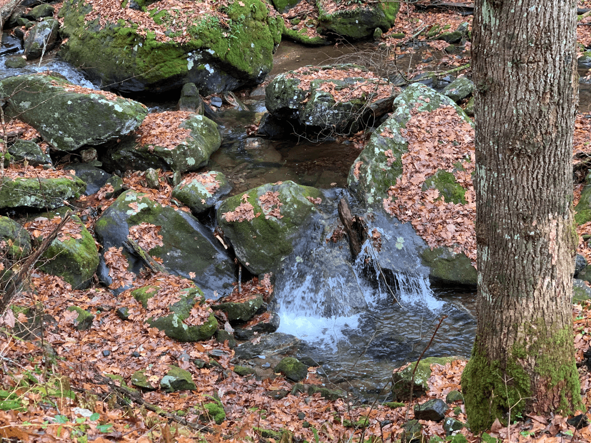 water cascading down some rocks